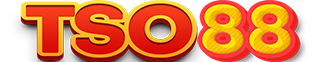 TSO88